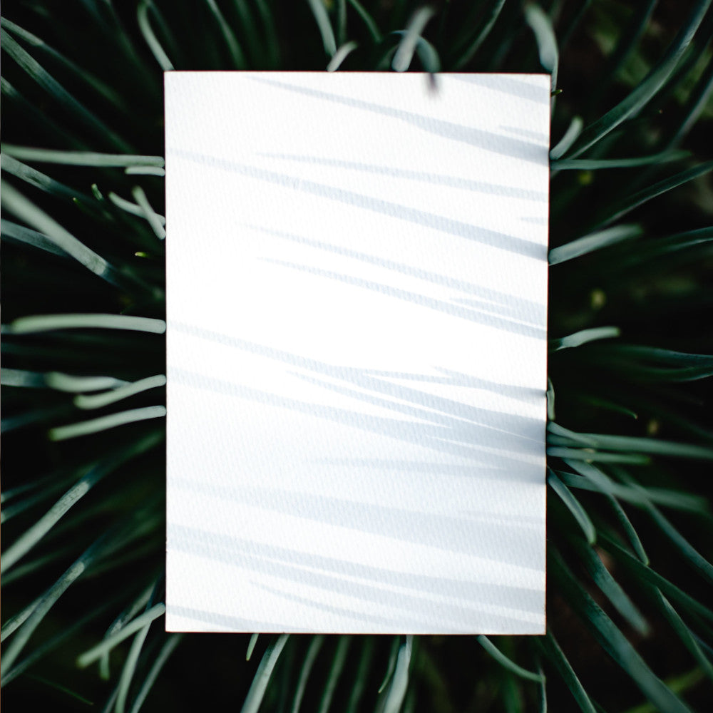 Postcards